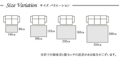 カーペット ラグ マット トルコ ウィルトン 織り カービング  約80×140cm 抗菌防臭 消臭 へたりにくい エレガント 【メーカー直送商品】☆