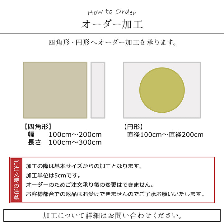 日本 抗菌 消臭 清潔 オーダー ラグ カーペット 防炎 アレルキャッチャー 抗アレル物質 ダニ対策 シャギー 無地 約3.2畳 約200×250cm 【メーカー直送商品】☆