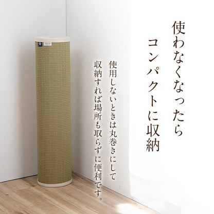介護 サポート ヘルスケア 運動マット い草 約90×180cm【メーカー直送商品】