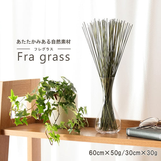 サスティナブル 自然素材 国産 い草 置物 60cm【メーカー直送商品】