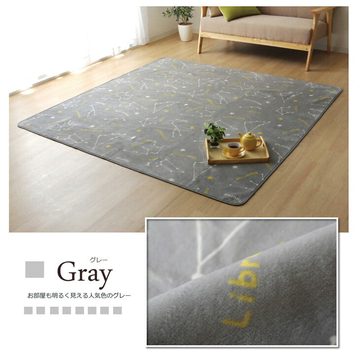 抗菌・防臭 ウォッシャブル フランネル ホットカーペットカバー 『WSミリオン RUG」約185×185cm 【メーカー直送商品】☆