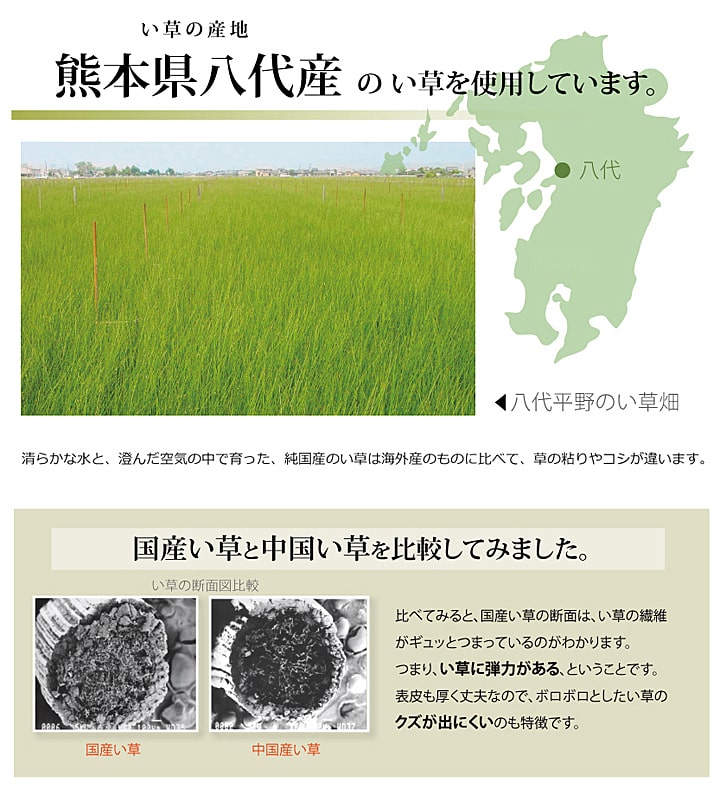 純国産 い草 上敷き カーペット 市松織 『不知火』 江戸間4.5畳(約261×261cm） 熊本県八代産イ草使用 【メーカー直送商品】☆