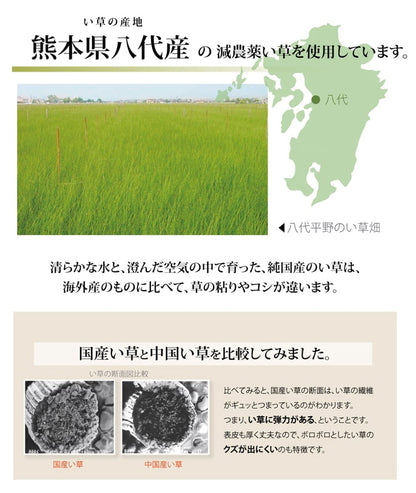 純国産 減農薬栽培 い草 上敷き カーペット 糸引織 『西陣』 江戸間4.5畳(約261×261cm） 熊本県八代産イ草使用 【メーカー直送商品】☆