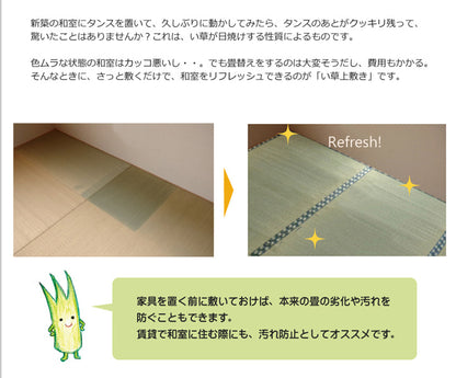 純国産 減農薬栽培 い草 上敷き カーペット 糸引織 『西陣』 本間10畳(約477×382cm） 熊本県八代産イ草使用 【メーカー直送商品】☆