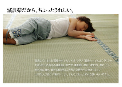 純国産 減農薬栽培 い草 上敷き カーペット 糸引織 『西陣』 本間10畳(約477×382cm） 熊本県八代産イ草使用 【メーカー直送商品】☆