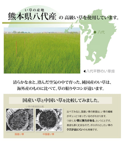 純国産 い草 上敷き カーペット 麻綿織 『清正』 本間2畳(約191×191cm） 熊本県八代産イ草使用 【メーカー直送商品】☆