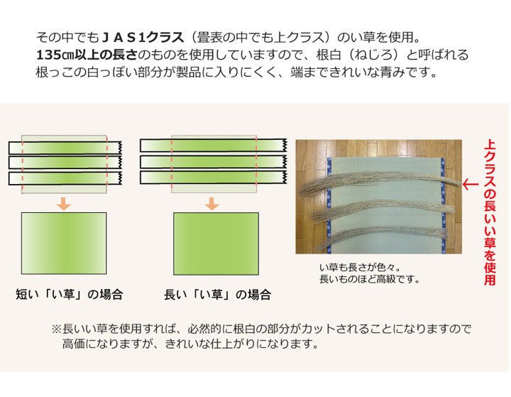 純国産 い草 上敷き カーペット 麻綿織 『清正』 本間8畳(約382×382cm） 熊本県八代産イ草使用 【メーカー直送商品】☆