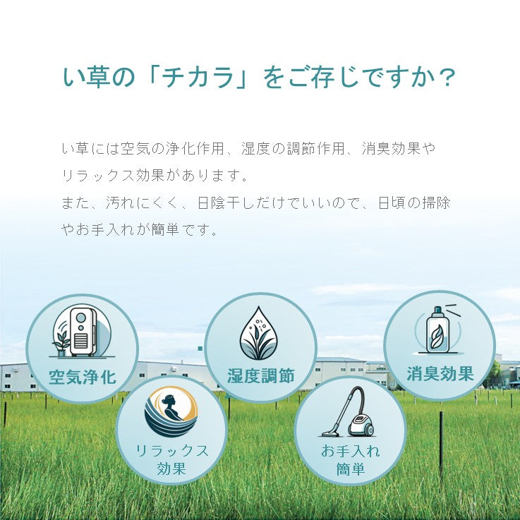 城山 ヒバ 団地 四方 縁・17 団地間3畳 上敷き 畳カーペット ラグ【メーカー直送商品】