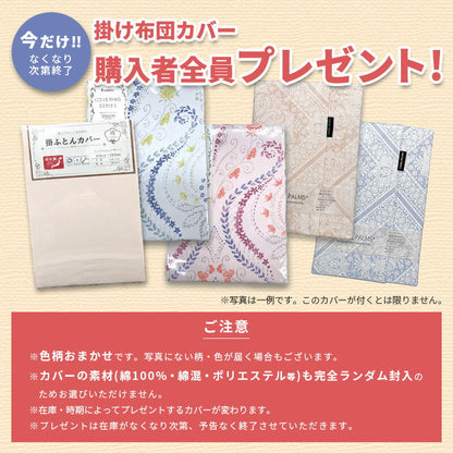 西川 ホワイトダウン85％ 羽毛掛ふとん ダブル