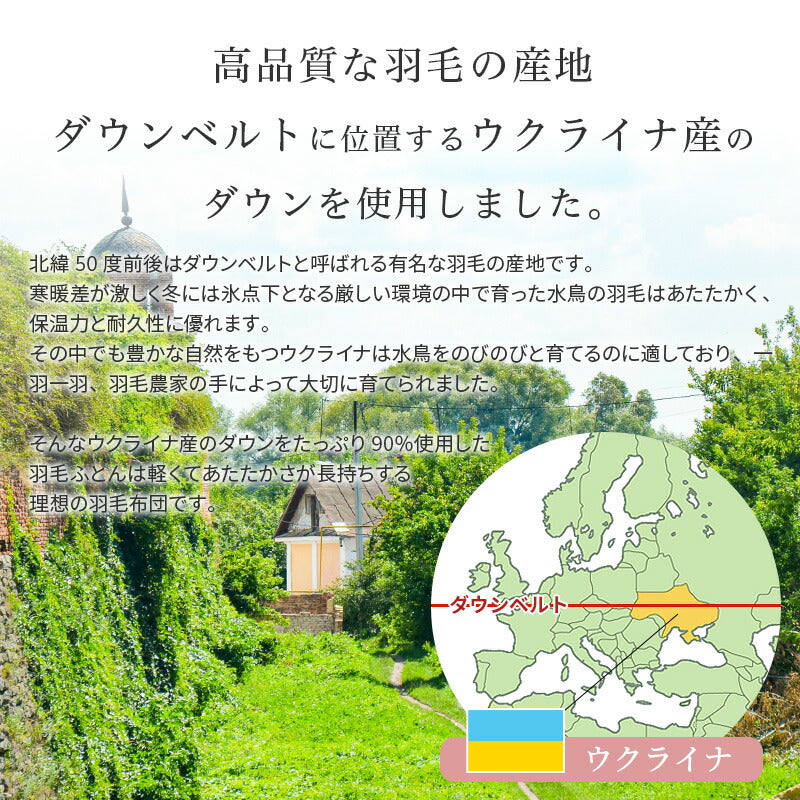 羽毛布団 クイーン ウクライナ産ダウン90％ 西川 不要ふとん回収サービス・収納ケース付 日本製