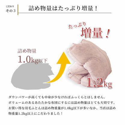 西川 フランス産ダウン90％ カバー・収納ケース付き シングル