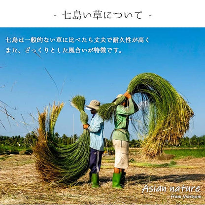 スリッパ 箱付七島い草 ベトナム製 Mサイズ【メーカー直送商品】