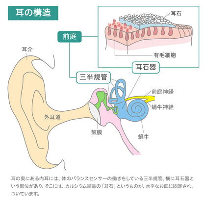 耳石にお悩みの方に スロープピロー