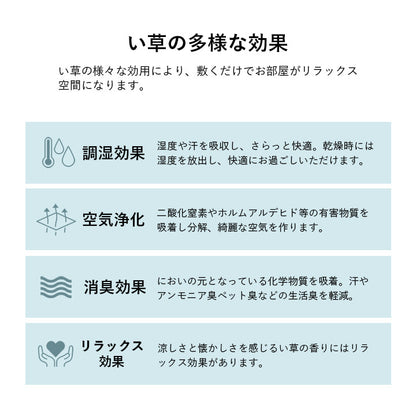 い草 畳 自然素材 カーペット ラグ インテリア 夏用 節電 無地 涼しい ダイヤ柄 シンプル クッション性 約240×320cm FXダイヤ【メーカー直送商品】