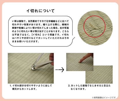 ラグ マット 小林製薬 持続性抗菌剤 KOBA-GURARD 制菌 抗菌消臭 夏 い草 グラデーション 60×180cm 全4色【メーカー直送商品】