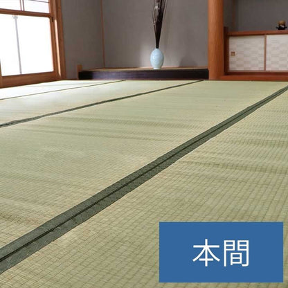 純国産 い草 上敷き カーペット 双目織 『草津』 本間【メーカー直送商品】