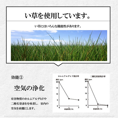 い草 くつろぐ ごろ寝 寄りかかり クッション さらさら 消臭 シンプル 約60×50×20cm 【メーカー直送商品】☆
