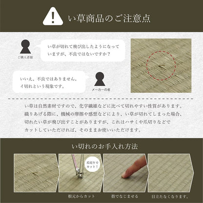 い草 くつろぐ ごろ寝 寄りかかり クッション さらさら 消臭 シンプル 約60×50×20cm 【メーカー直送商品】☆