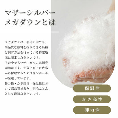 羽毛布団 1.2キロ マザー ダウン95％ 冬用 シングルサイズ ロマンス小杉  日本製 ダウンパワー440DP以上 再生繊維 150×210cm