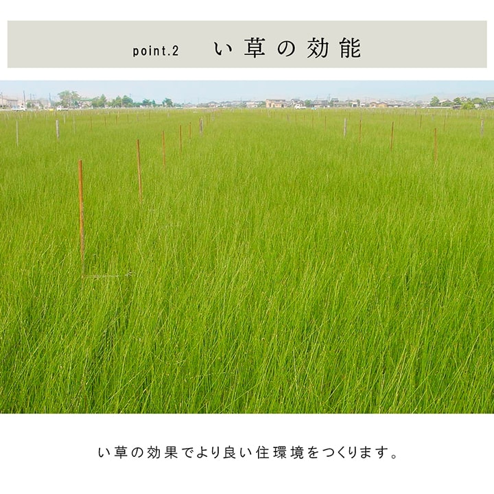 国産 い草 日本製 置き畳 ユニット畳 簡単 和室 3層 約70×70×1.5cm 4P 【メーカー直送商品】☆