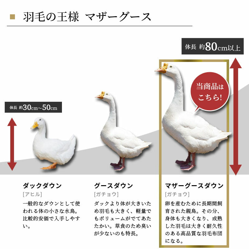 【不要布団回収無料】羽毛布団 西川 マザーグース93％ シングル 日本製 ダウンパワー420DP 冬用150×210cm カバー付き