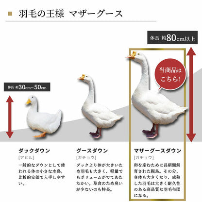 【不要布団回収無料】羽毛布団 西川 マザーグース93％ シングル 日本製 ダウンパワー420DP 冬用150×210cm カバー付き