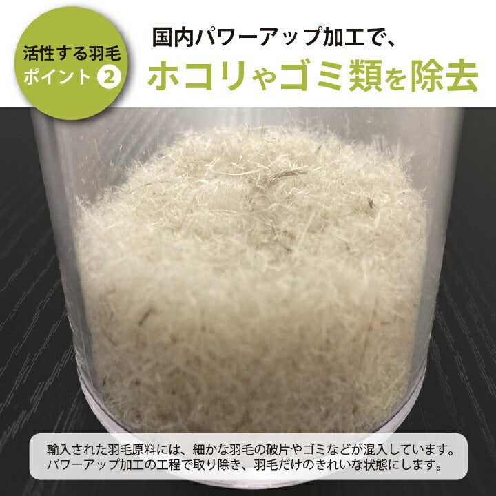 羽毛本掛け WDD90% DP350 シングル 日本製 1.0kg ナチュレリエル 羽毛布団 羽毛掛布団 S 防菌 防臭 リネン 麻生地 アレルギー【メーカー直送品】