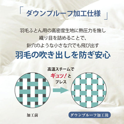 羽毛本掛け WDD90% DP350 シングル 日本製 1.0kg ナチュレリエル 羽毛布団 羽毛掛布団 S 防菌 防臭 リネン 麻生地 アレルギー【メーカー直送品】