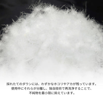 羽毛布団 シングル ダウン85％ DP350以上 日本製 エコダウン 環境にやさしい SDGs